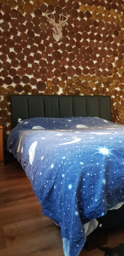Apartment Straja Lupeni  Εξωτερικό φωτογραφία